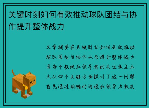 关键时刻如何有效推动球队团结与协作提升整体战力