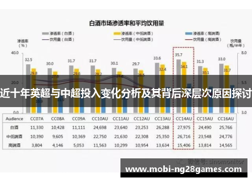 近十年英超与中超投入变化分析及其背后深层次原因探讨