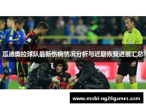 瓜迪奥拉球队最新伤病情况分析与近期恢复进展汇总