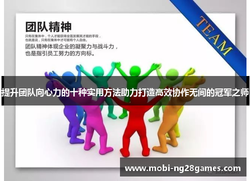 提升团队向心力的十种实用方法助力打造高效协作无间的冠军之师