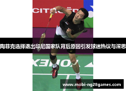 陶菲克选择退出印尼国家队背后原因引发球迷热议与深思